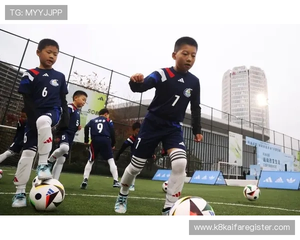 提升凯发体育集团网址查询效率的实用技巧与建议